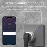 Tuya Smart WiFi Plug 16A 3680W – Smart Socket with Remote & Voice Control - Image 5